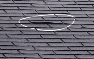 roof needs repair